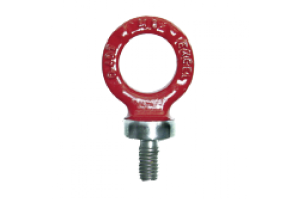 ALDIN ERKEK AYBOLT DIN 580 / GRADE 80